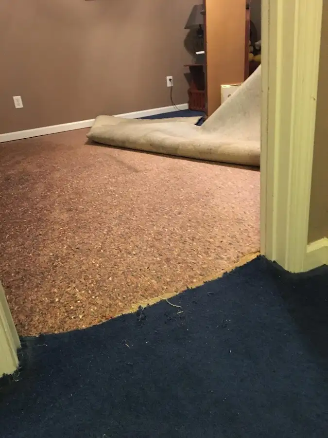 Carpet pad removal revealing water damage during Drying & Dehumidification in Sterling